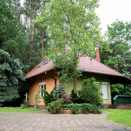 Dom Nad Stawem Villa Rakszawa Bagian luar foto