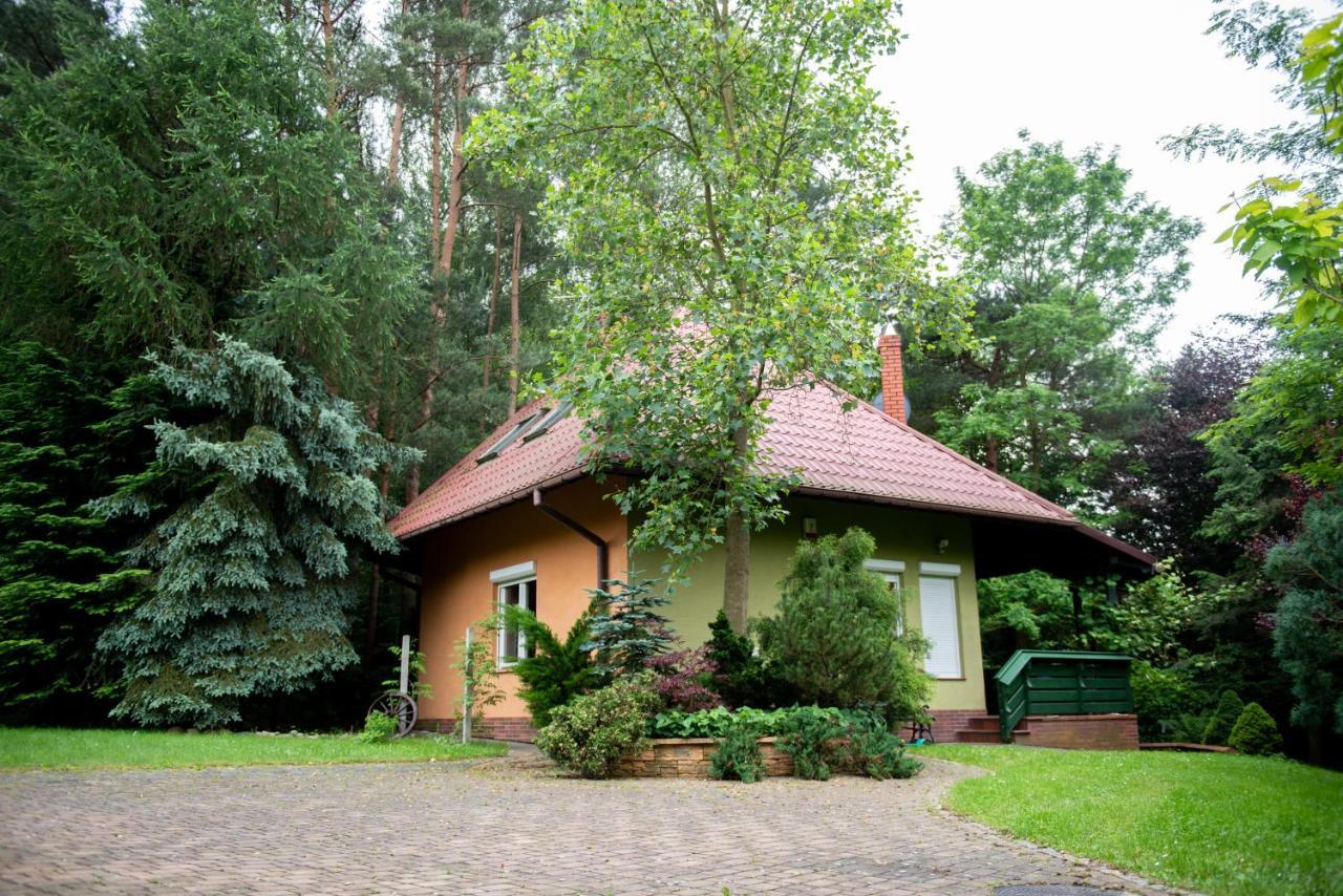 Dom Nad Stawem Villa Rakszawa Bagian luar foto